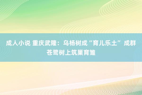 成人小说 重庆武隆：乌杨树成“育儿乐土” 成群苍鹭树上筑巢育雏