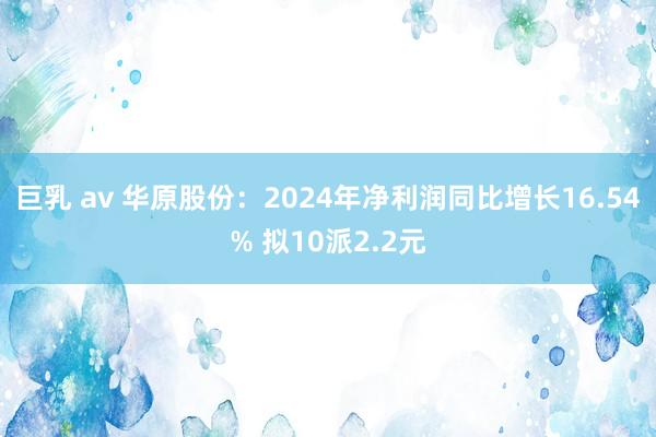 巨乳 av 华原股份：2024年净利润同比增长16.54% 拟10派2.2元