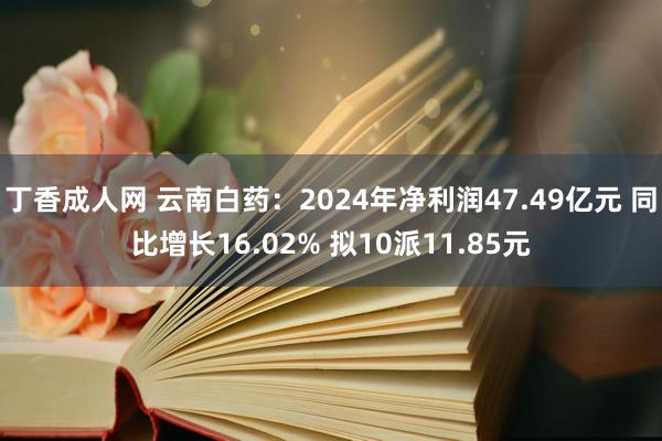 丁香成人网 云南白药：2024年净利润47.49亿元 同比增长16.02% 拟10派11.85元