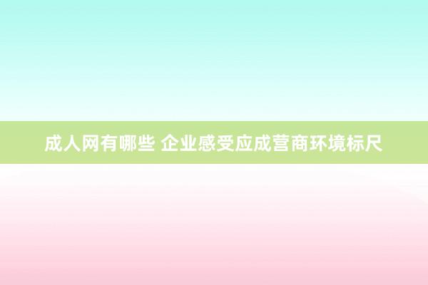 成人网有哪些 企业感受应成营商环境标尺