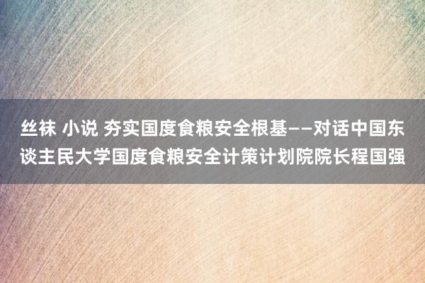 丝袜 小说 夯实国度食粮安全根基——对话中国东谈主民大学国度食粮安全计策计划院院长程国强