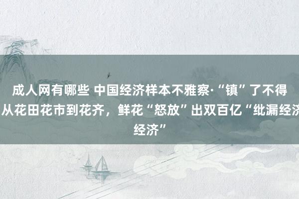成人网有哪些 中国经济样本不雅察·“镇”了不得｜从花田花市到花齐，鲜花“怒放”出双百亿“纰漏经济”