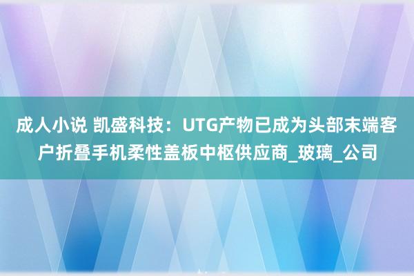 成人小说 凯盛科技：UTG产物已成为头部末端客户折叠手机柔性盖板中枢供应商_玻璃_公司