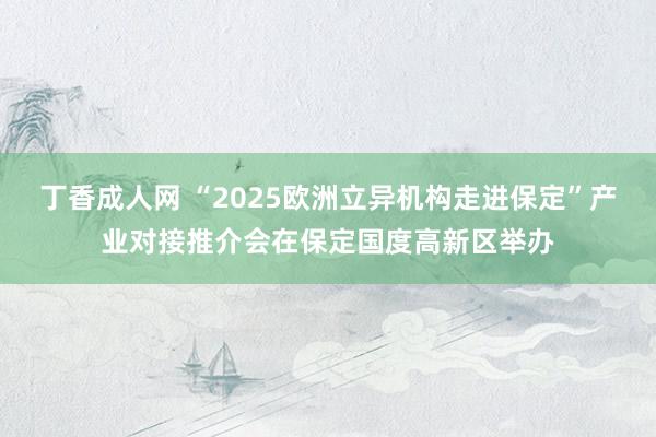 丁香成人网 “2025欧洲立异机构走进保定”产业对接推介会在保定国度高新区举办