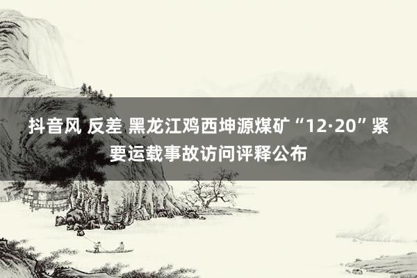抖音风 反差 黑龙江鸡西坤源煤矿“12·20”紧要运载事故访问评释公布