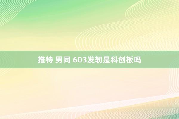 推特 男同 603发轫是科创板吗