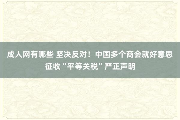 成人网有哪些 坚决反对！中国多个商会就好意思征收“平等关税”严正声明