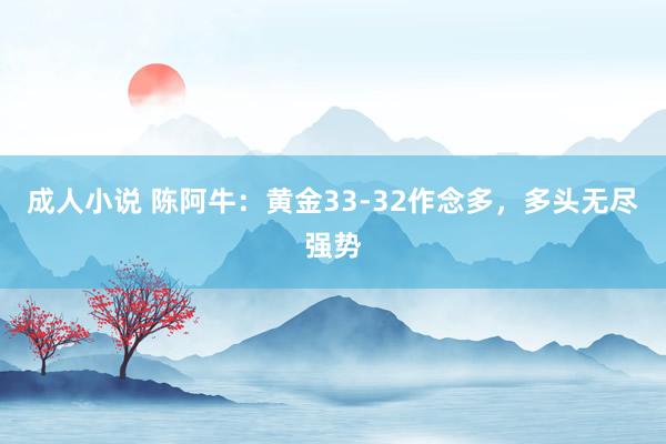 成人小说 陈阿牛：黄金33-32作念多，多头无尽强势