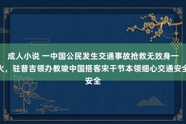 成人小说 一中国公民发生交通事故抢救无效身一火，驻普吉领办教唆中国搭客宋干节本领细心交通安全