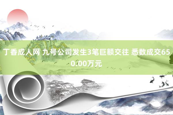 丁香成人网 九号公司发生3笔巨额交往 悉数成交650.00万元