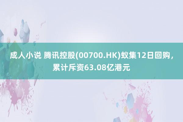 成人小说 腾讯控股(00700.HK)蚁集12日回购，累计斥资63.08亿港元