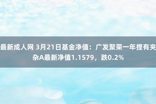 最新成人网 3月21日基金净值：广发聚荣一年捏有夹杂A最新净值1.1579，跌0.2%