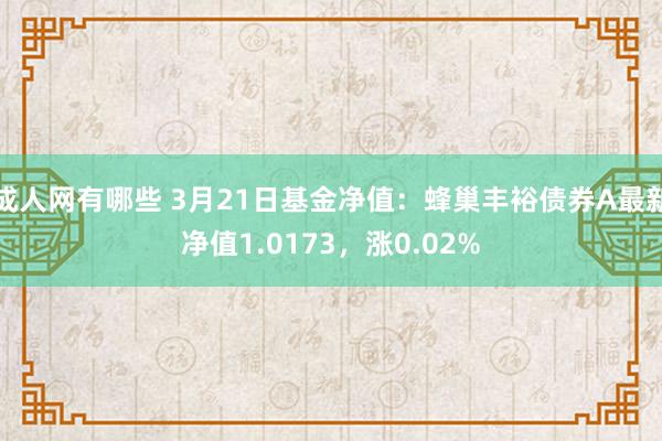 成人网有哪些 3月21日基金净值：蜂巢丰裕债券A最新净值1.0173，涨0.02%