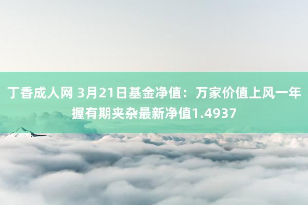 丁香成人网 3月21日基金净值：万家价值上风一年握有期夹杂最新净值1.4937
