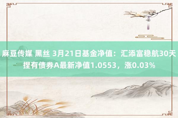 麻豆传媒 黑丝 3月21日基金净值：汇添富稳航30天捏有债券A最新净值1.0553，涨0.03%