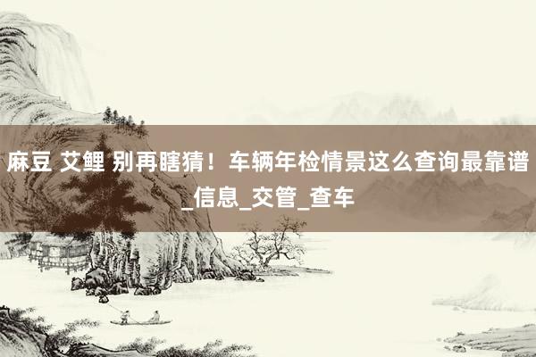麻豆 艾鲤 别再瞎猜！车辆年检情景这么查询最靠谱_信息_交管_查车
