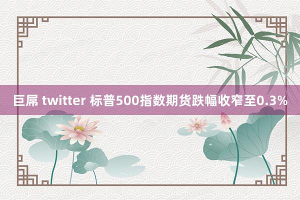巨屌 twitter 标普500指数期货跌幅收窄至0.3%