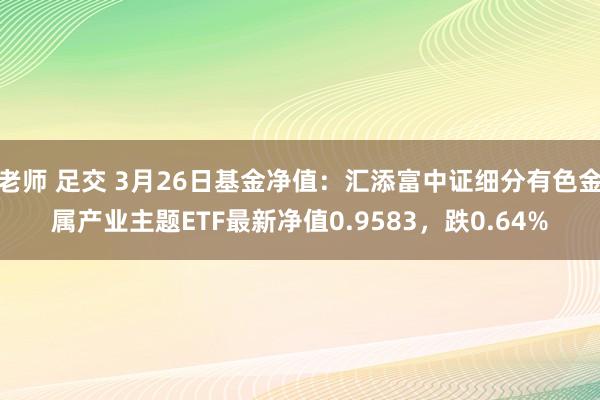老师 足交 3月26日基金净值：汇添富中证细分有色金属产业主题ETF最新净值0.9583，跌0.64%