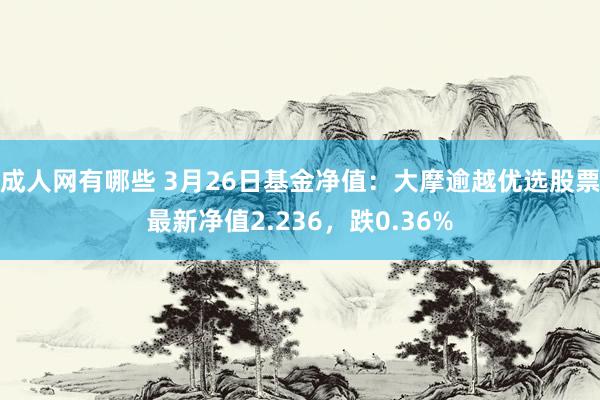 成人网有哪些 3月26日基金净值：大摩逾越优选股票最新净值2.236，跌0.36%