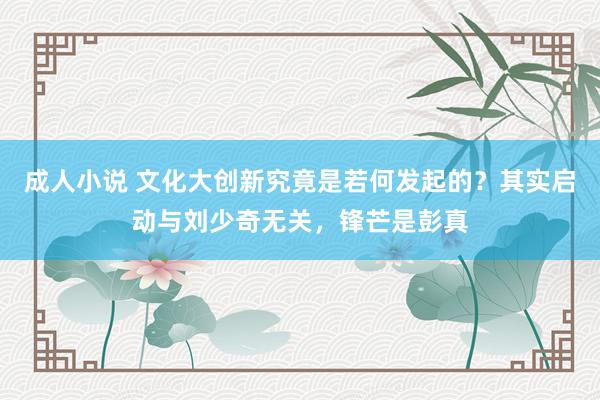 成人小说 文化大创新究竟是若何发起的？其实启动与刘少奇无关，锋芒是彭真