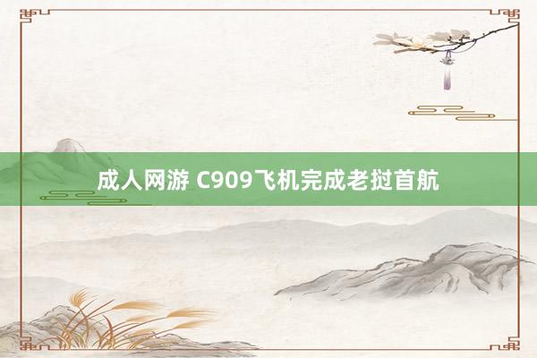 成人网游 C909飞机完成老挝首航