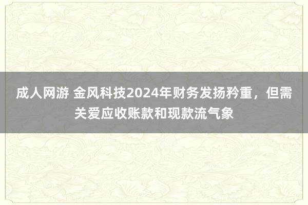 成人网游 金风科技2024年财务发扬矜重，但需关爱应收账款和现款流气象