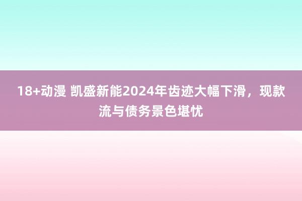 18+动漫 凯盛新能2024年齿迹大幅下滑，现款流与债务景色堪忧