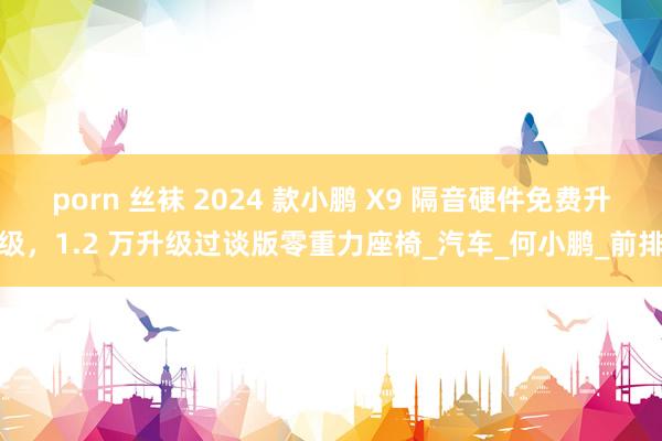 porn 丝袜 2024 款小鹏 X9 隔音硬件免费升级，1.2 万升级过谈版零重力座椅_汽车_何小鹏_前排