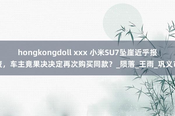 hongkongdoll xxx 小米SU7坠崖近乎报废，车主竟果决决定再次购买同款？_陨落_王雨_巩义市