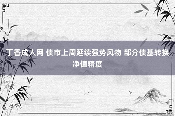 丁香成人网 债市上周延续强势风物 部分债基转换净值精度