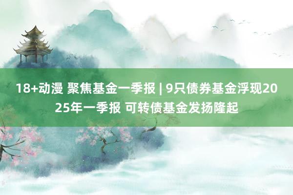 18+动漫 聚焦基金一季报 | 9只债券基金浮现2025年一季报 可转债基金发扬隆起