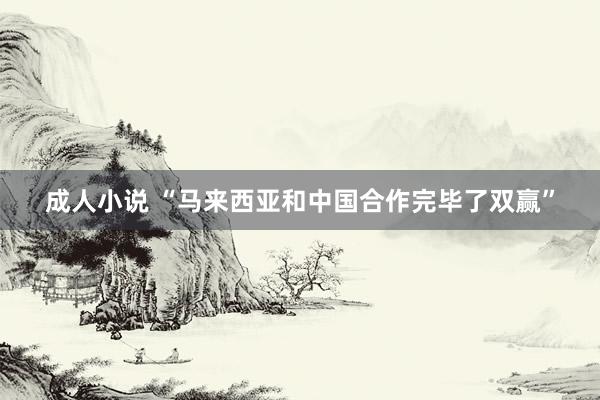 成人小说 “马来西亚和中国合作完毕了双赢”