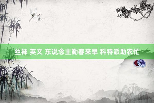 丝袜 英文 东说念主勤春来早 科特派助农忙