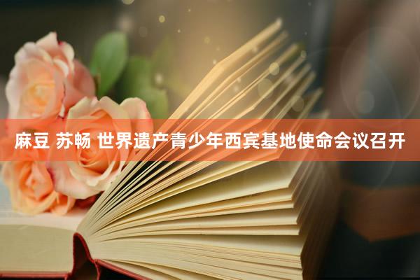麻豆 苏畅 世界遗产青少年西宾基地使命会议召开