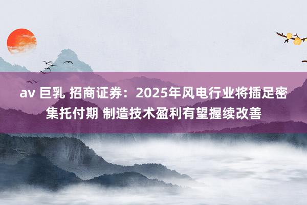 av 巨乳 招商证券：2025年风电行业将插足密集托付期 制造技术盈利有望握续改善