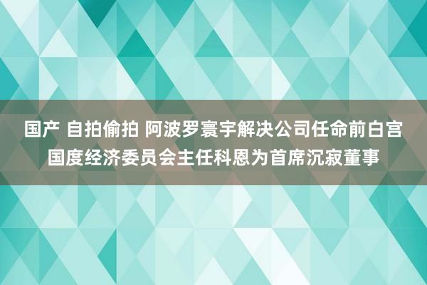 国产 自拍偷拍 阿波罗寰宇解决公司任命前白宫国度经济委员会主任科恩为首席沉寂董事