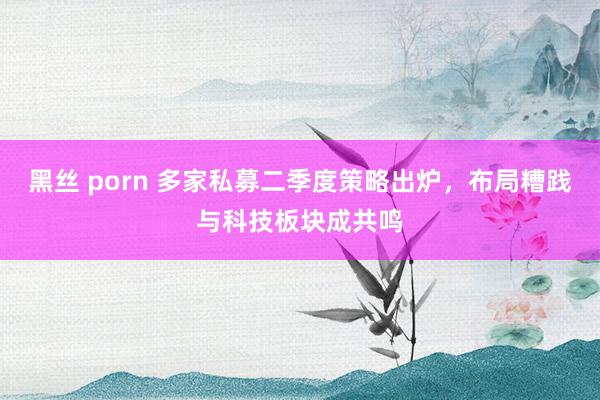 黑丝 porn 多家私募二季度策略出炉，布局糟践与科技板块成共鸣