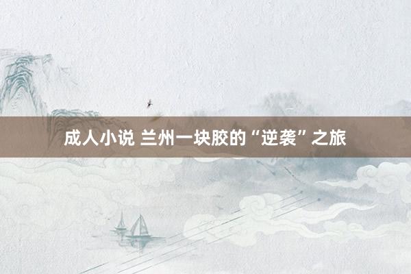 成人小说 兰州一块胶的“逆袭”之旅