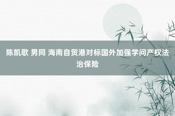陈凯歌 男同 海南自贸港对标国外加强学问产权法治保险