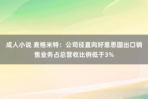 成人小说 麦格米特：公司径直向好意思国出口销售业务占总营收比例低于3%