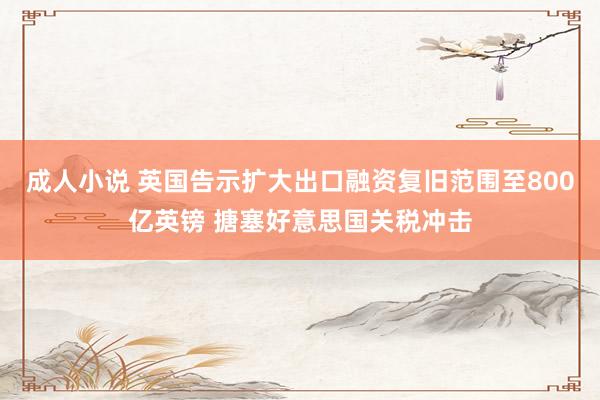 成人小说 英国告示扩大出口融资复旧范围至800亿英镑 搪塞好意思国关税冲击