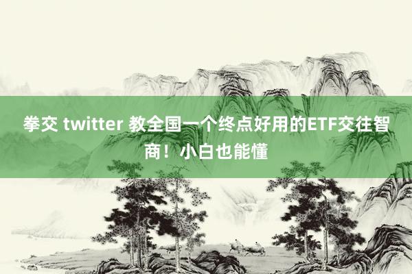 拳交 twitter 教全国一个终点好用的ETF交往智商！小白也能懂