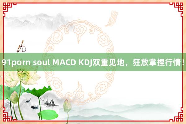 91porn soul MACD KDJ双重见地，狂放掌捏行情！