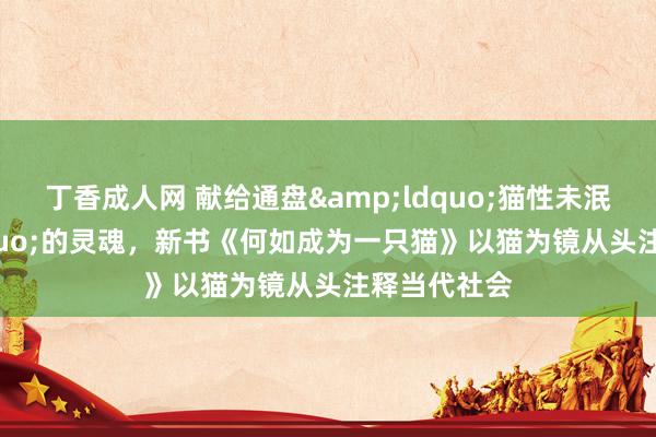丁香成人网 献给通盘&ldquo;猫性未泯&rdquo;的灵魂，新书《何如成为一只猫》以猫为镜从头注释当代社会