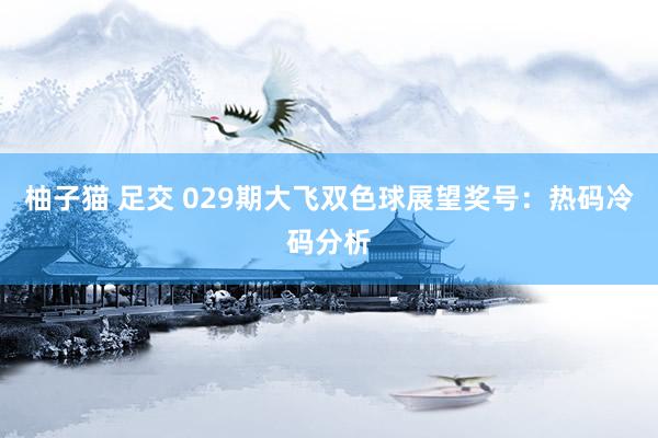 柚子猫 足交 029期大飞双色球展望奖号：热码冷码分析