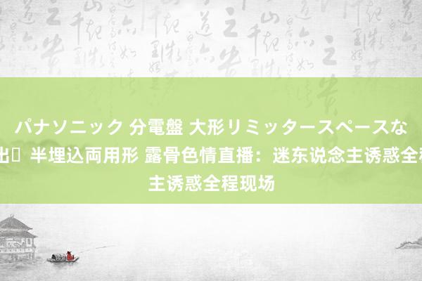 パナソニック 分電盤 大形リミッタースペースなし 露出・半埋込両用形 露骨色情直播：迷东说念主诱惑全程现场