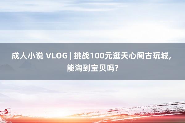 成人小说 VLOG | 挑战100元逛天心阁古玩城， 能淘到宝贝吗?